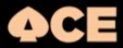 AcePickleball logo