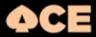 AcePickleball logo