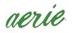 Aerie promo code