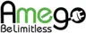 Amego Electric Vehicles logo