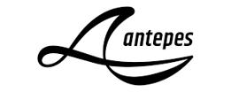 antepes promo code