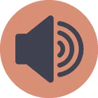 AnyToSpeech logo