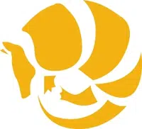 Armadillo Safe and Vault logo