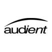 Audient promo code