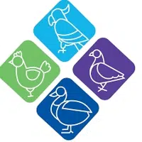 Avian Fashions logo