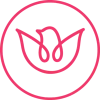 Ballin4Peace logo