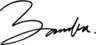 BAMBA logo