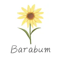 Barabumfashion logo