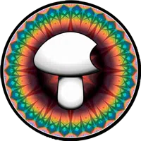 Basidium Equilibrium logo