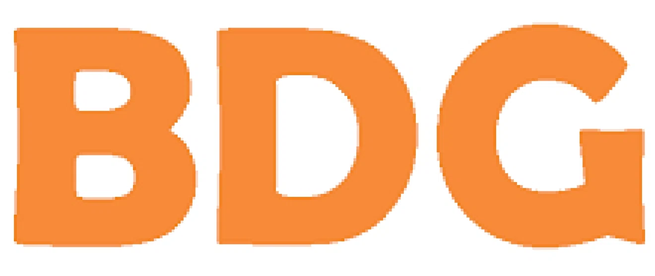 BDG Web Design logo