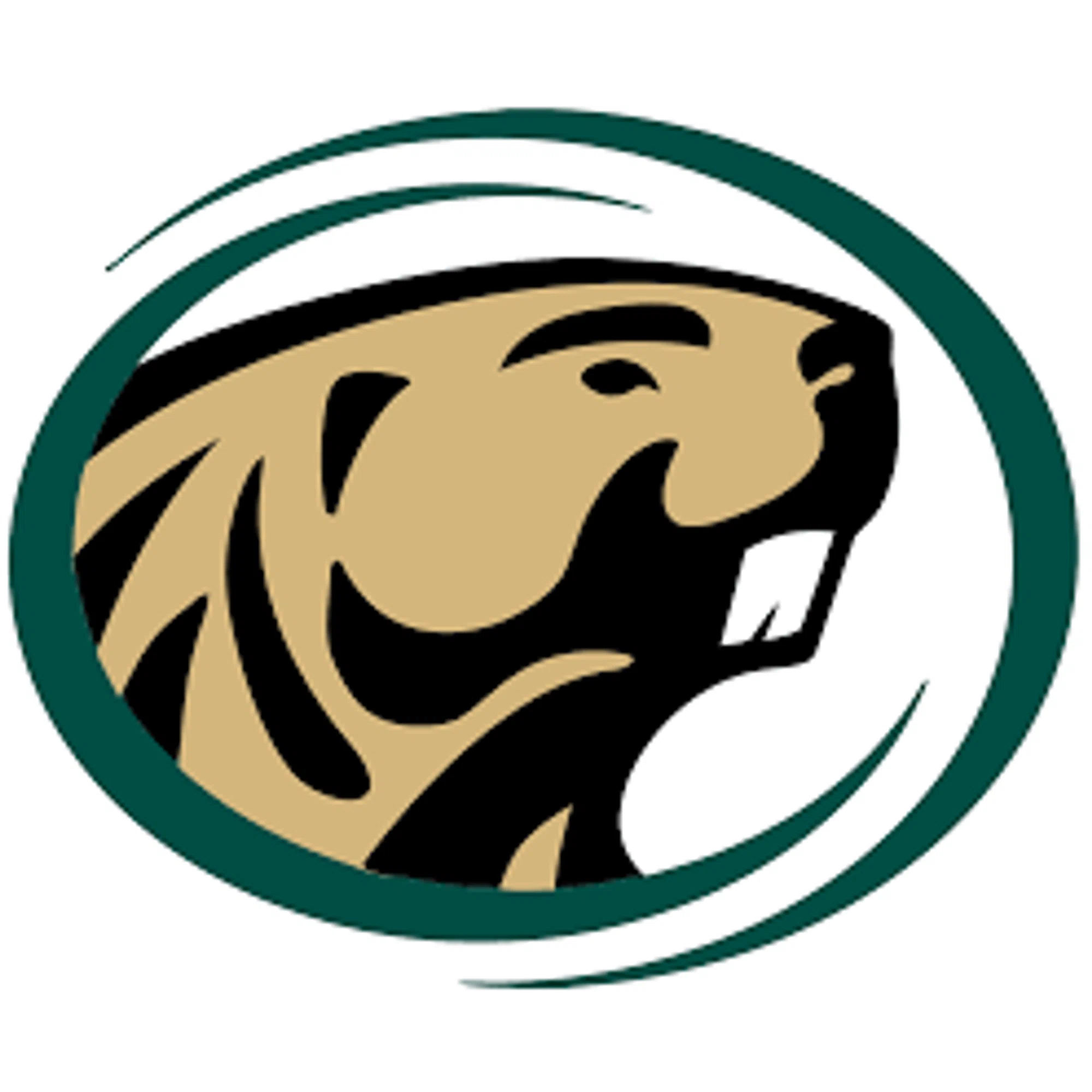 Bemidji State Beavers logo