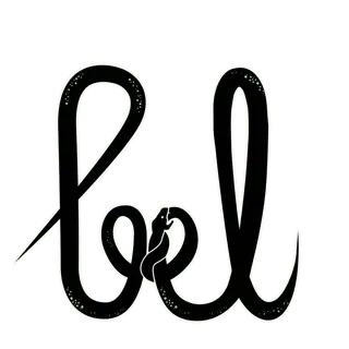 BIDI logo