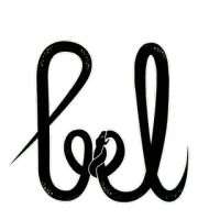 BIDI logo