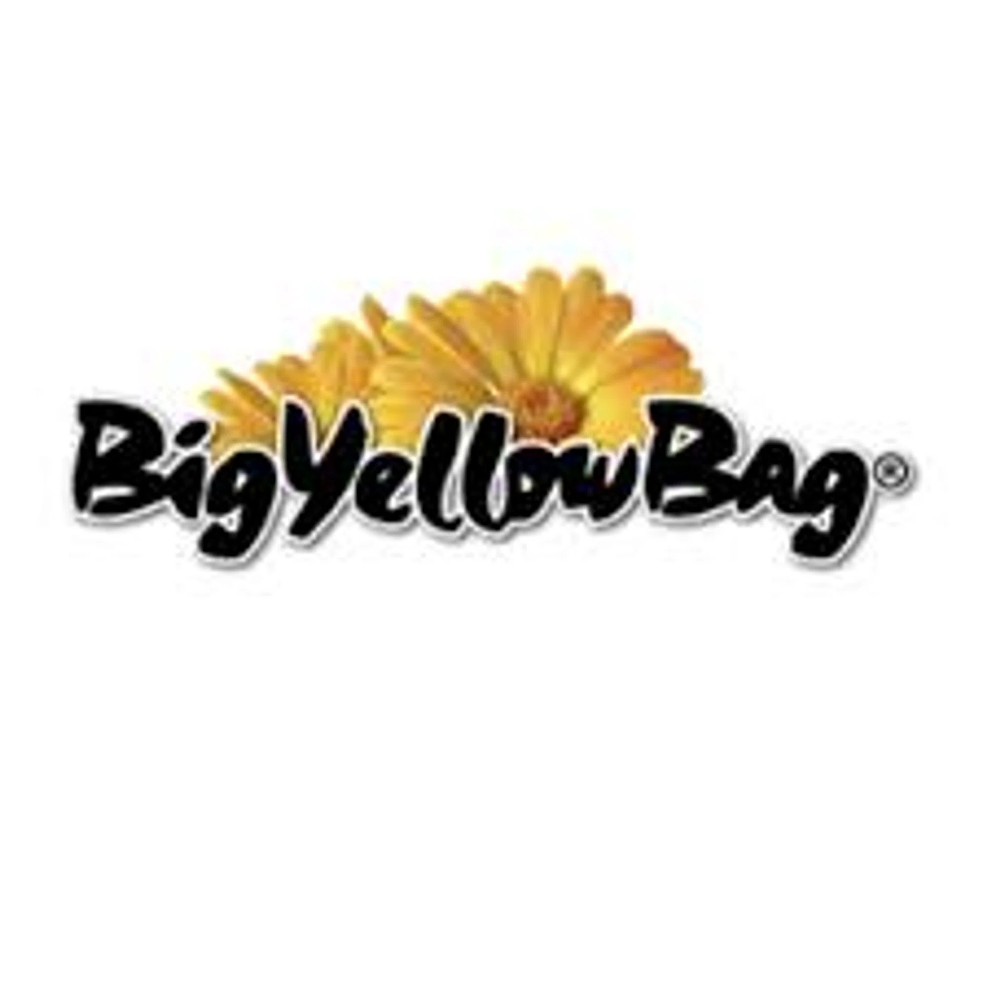Big Yellow Bag discount code