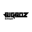 Bigboz Exhaust promo code