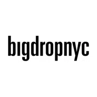 Big Drop NYC logo
