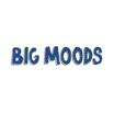 Big Moods discount code