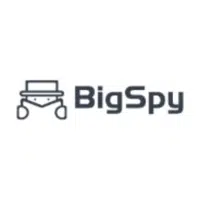 BigSpy logo