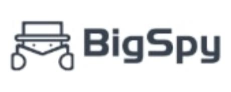 BigSpy coupon code