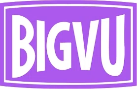 BIGVU logo