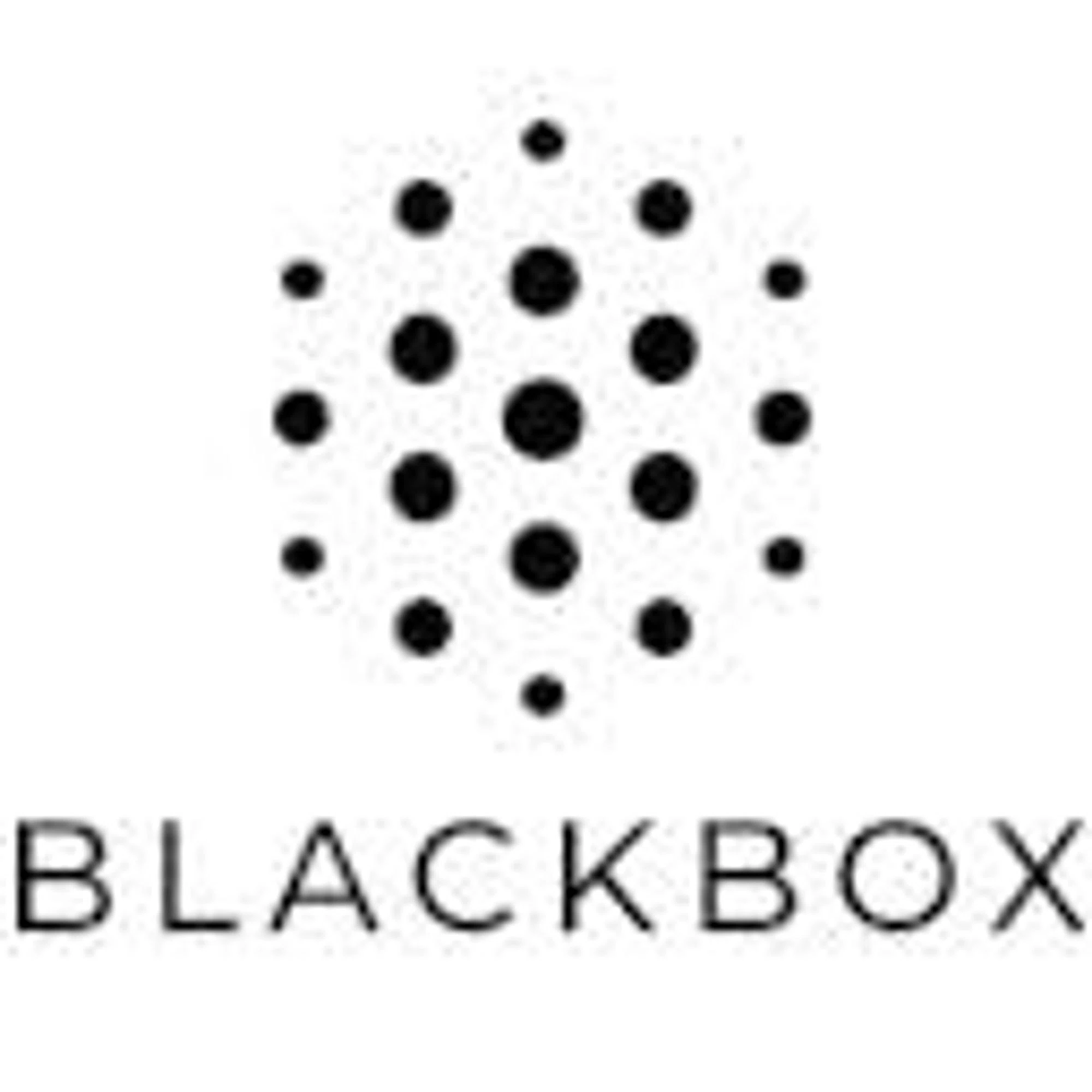 Blackbox AI logo
