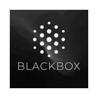 Blackbox Al promo code