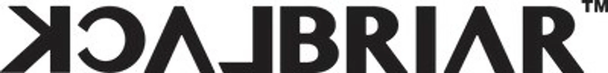 BlackBriar USA logo