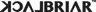 BlackBriar USA logo