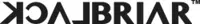 BlackBriar USA logo