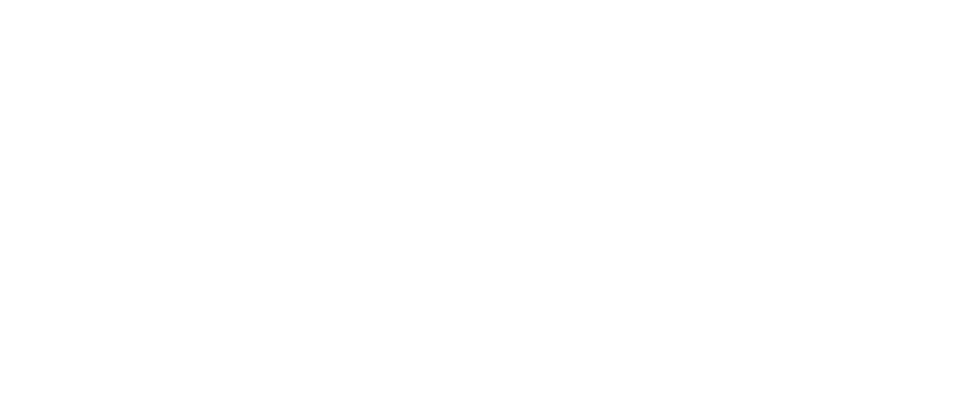 Black Dog Overland logo