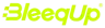 BleeqUp logo