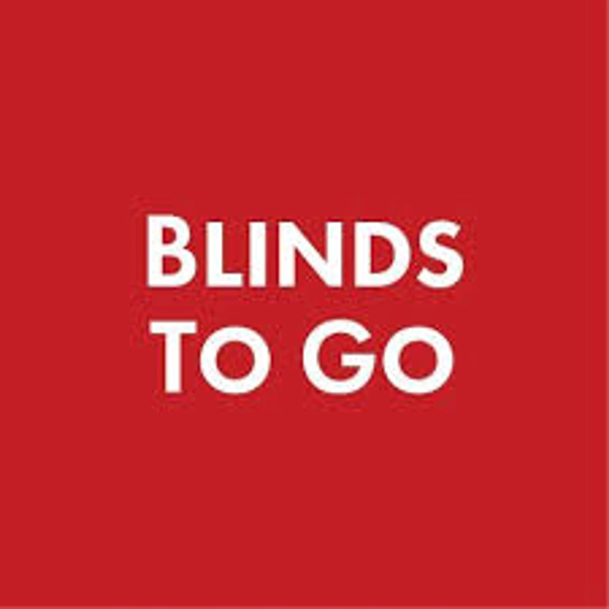 Blindstogo logo