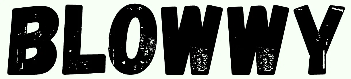 Blowwy logo