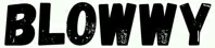 Blowwy logo