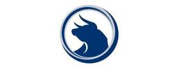 Blue Ox promo code