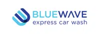 Blue Wave Wash logo