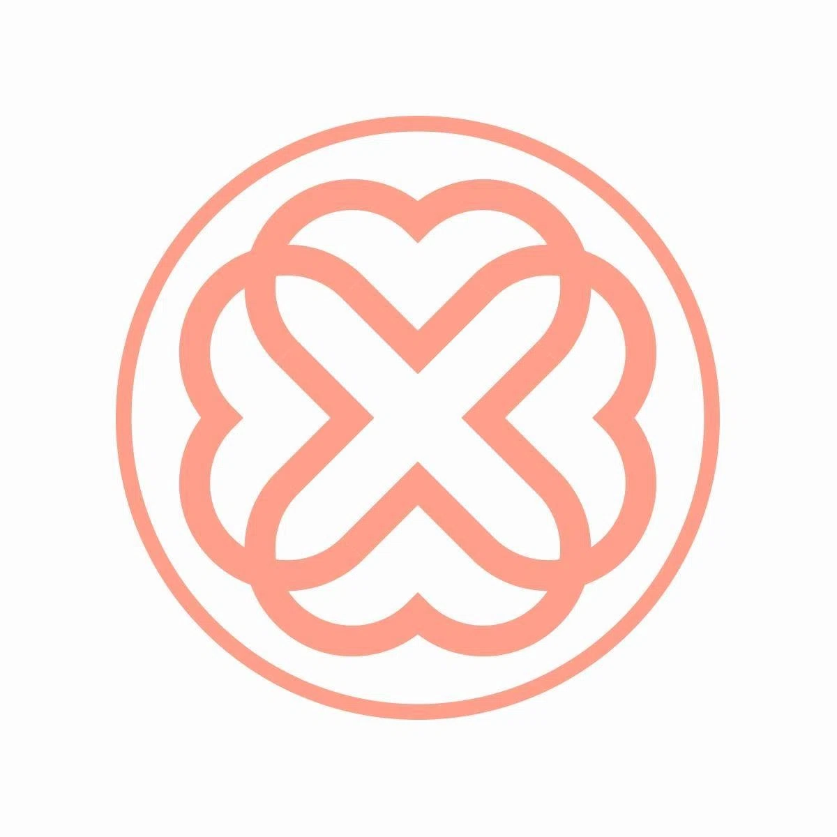 Blush Boutique & Spa logo