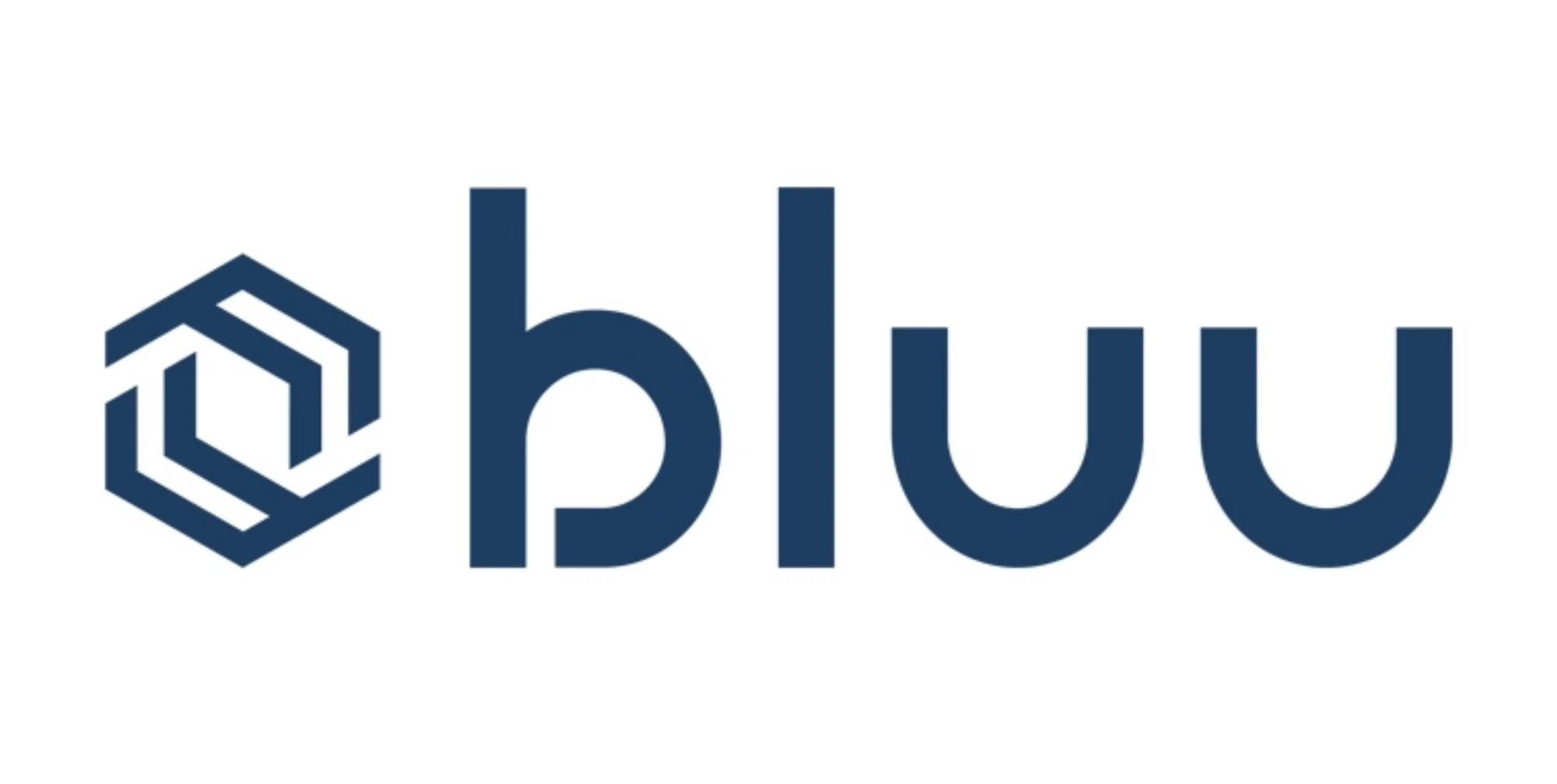 Bluu logo