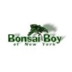 Bonsai Boy of New York promo code