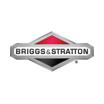 Briggs And Stratton discount code