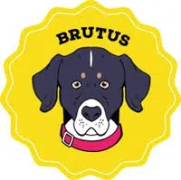Brutus Broth logo