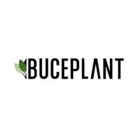 Buce Plant discount code