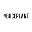 Buce Plant discount code