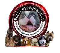 Bully Performance logo