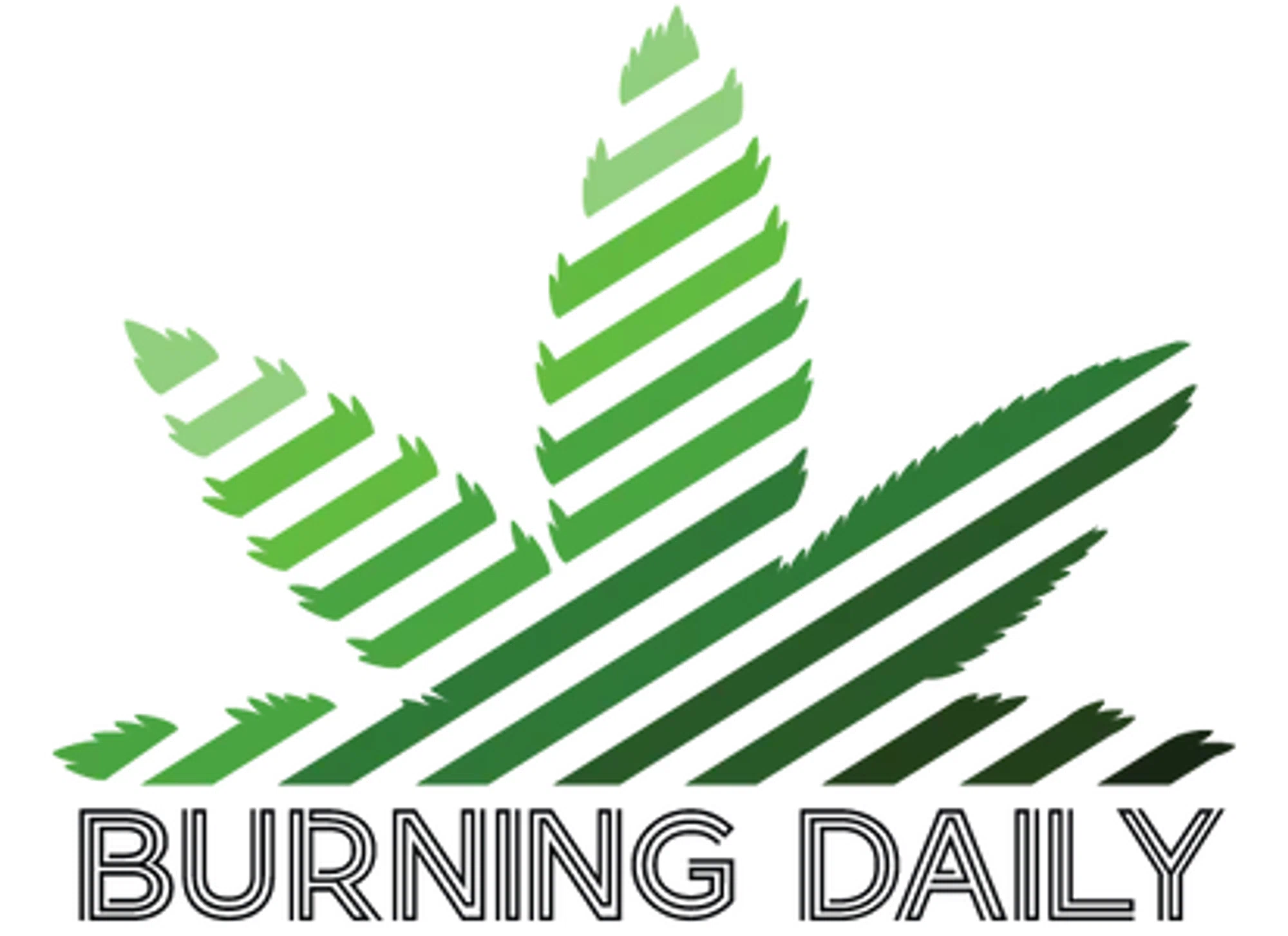 Burning Daily logo
