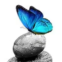 Butterfly Express Quality Essential Oils logo