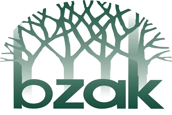 Bzak logo