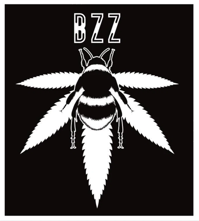 Bzz Box logo