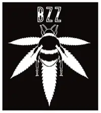 Bzz Box logo
