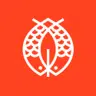 Candlefish logo